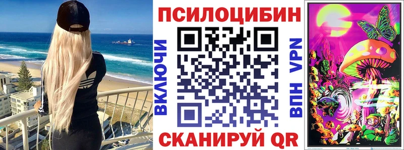 Псилоцибиновые грибы Cubensis  OMG   Славянск-на-Кубани 