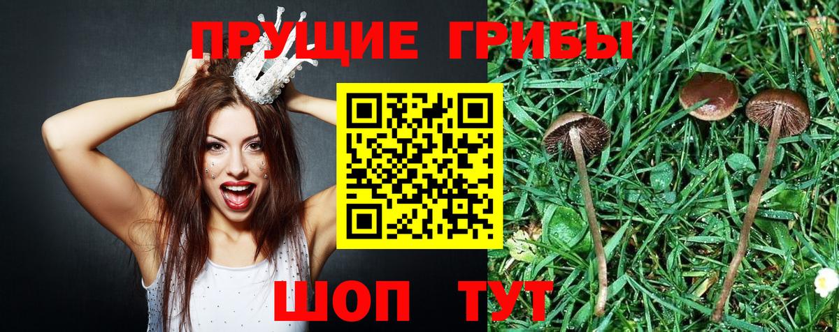 Галлюциногенные грибы мицелий  Вход с VPN  Славянск-на-Кубани 